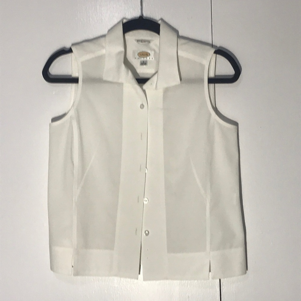 Talbots wrinkle resistant stretch shirt